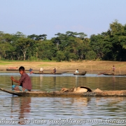 Ratargul Swamp Forest_34